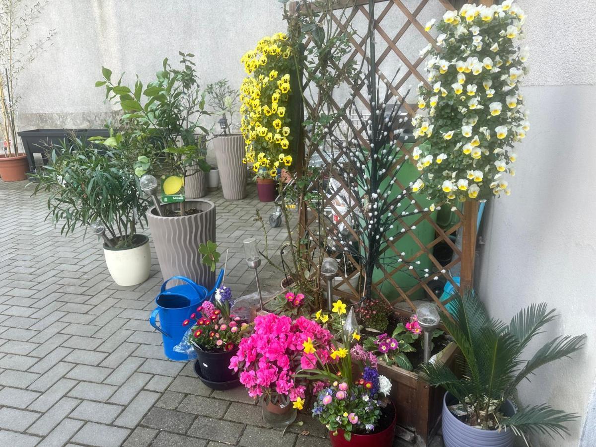 Kaethe-kollwitz-strasse 54, F2 Altenburg